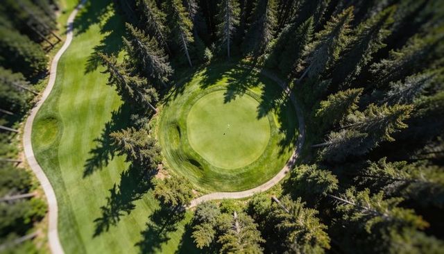 Aerial round putting green framed by conifer forest and winding cart path in sunlit clearing