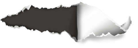 Realistic Torn Paper Vector with Transparent Background - Download Free Stock Videos Pikwizard.com