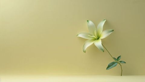Minimalist green-white lily with elegant curved stem
