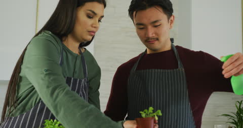 Couple Potting Plants Together in Home Setting