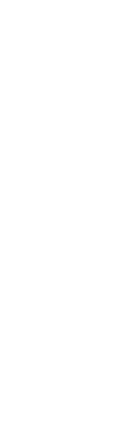 Transparent Silhouette of Male Basketball Player in Motion