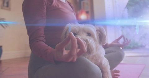 Meditating woman holding small dog on pink yoga mat with sunlit lens flare and cozy calm interior