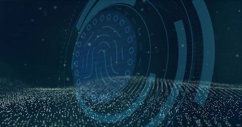 Digital Fingerprint Interface in Abstract Cyberspace