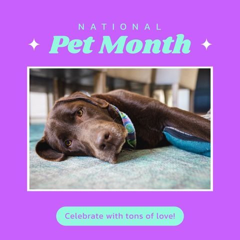 Celebrate National Pet Month with Love and Friendship