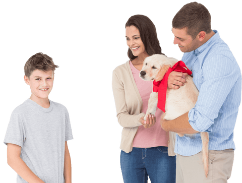 family presenting gift puppy to happy son on transparent background - Download Free Stock Videos Pikwizard.com
