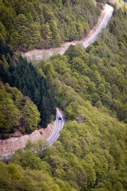Aerial view of a winding road cutting through a dense, lush forest in a mountainous area. Ideal for travel-themed content, nature and outdoor adventure promotions, serene landscape backgrounds, and environmental subjects.