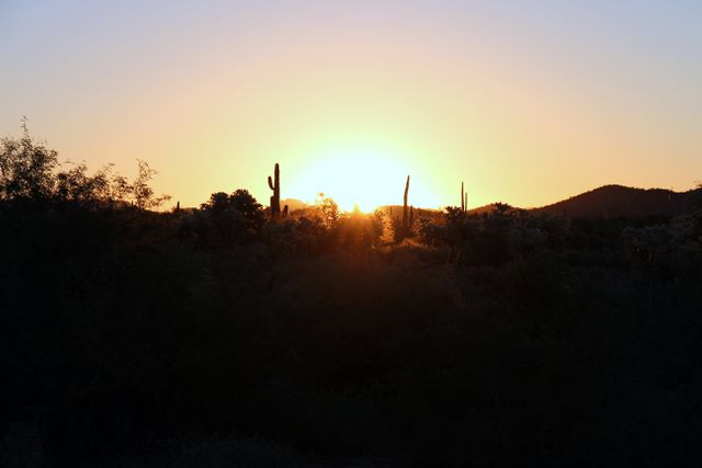 Beautiful sunset over a desert landscape with silhouetted cacti against the horizon. The warm hues of the setting sun create a tranquil and serene environment. Ideal for use in projects related to nature, travel, and outdoor scenery. Perfect for backgrounds in promotional materials, presentations, or environmental awareness campaigns.