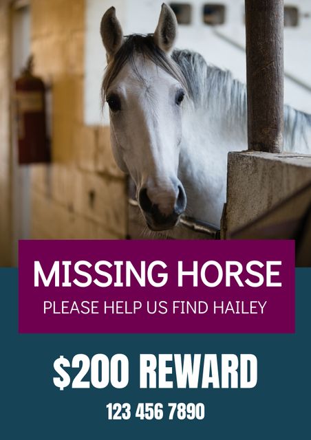 Poster showing missing white horse with details such as reward offer and contact number. Useful for horse rescuing organizations, animal shelters, rural community boards, and community noticeboards to help locate and recover lost horses quickly and effectively.