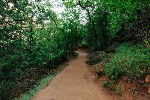 Trail winding through lush green forest on sunny day, perfect for promoting outdoor adventures, nature trails, hiking experiences, environmental projects, eco-tourism, and peaceful getaways. Suitable for travel blogs, eco-friendly brands, fitness campaigns, and outdoor event promotions.