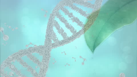 Digital DNA Strand Over Leaf with Molecular Structures