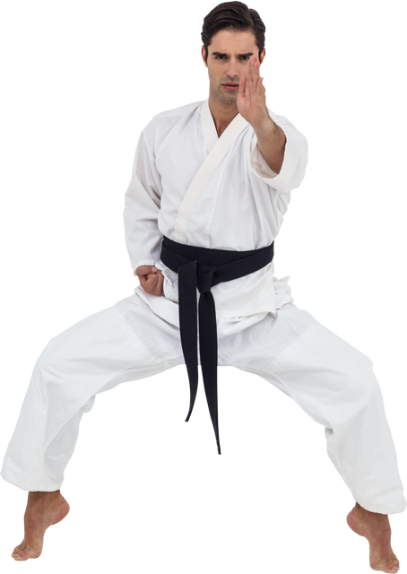 Martial Artist Displaying Classic Karate Stance on Transparent Background - Download Free Stock Videos Pikwizard.com