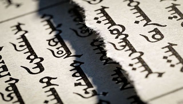 Torn handmade paper revealing calligraphy script and fibers, dramatic diagonal shadow