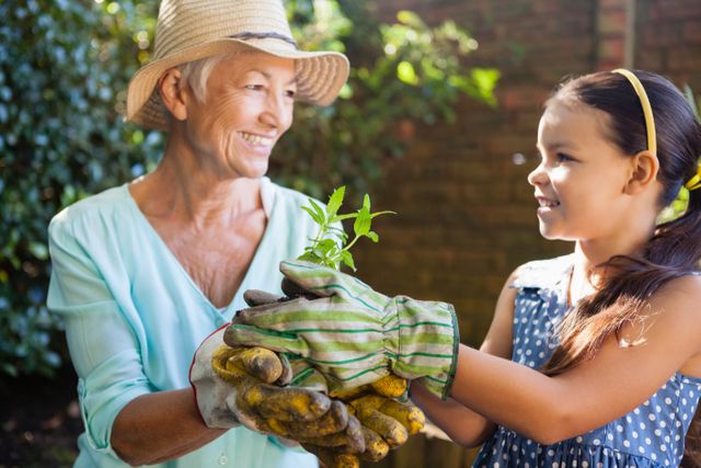 Smiling granddaughter and grandmother wearing gloves holding seedling at backyard