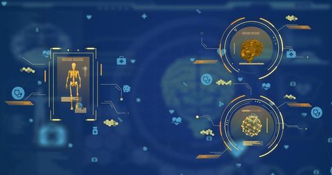 Digital Interface Displaying Brain and Body Scientific Data - Download Free Stock Images Pikwizard.com