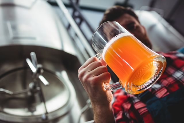Low angle view of manufacturer examining beer glass at brewery
