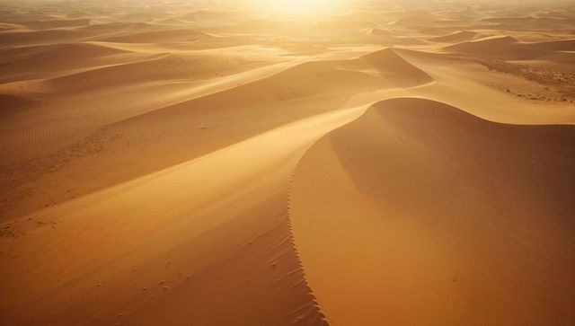 Sunlit Sand Dunes with Ripples in Vast Desert Landscape