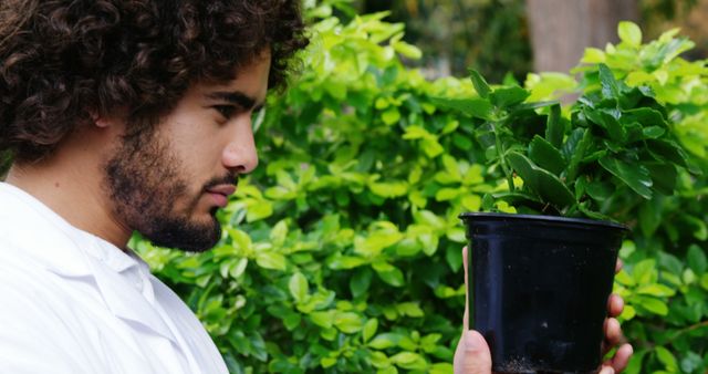 Man looking at pot plant in greenhouse 4k