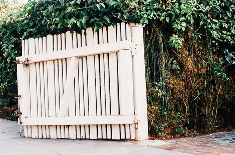 White Wooden Garden Gate Amidst Verdant Foliage