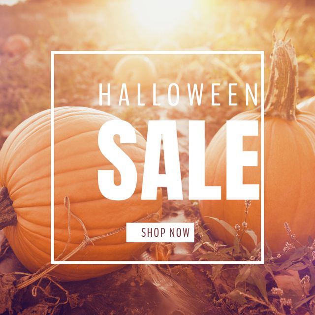 Halloween and Autumn Sale with Pumpkins in Sunset Field - Download Free Stock Templates Pikwizard.com