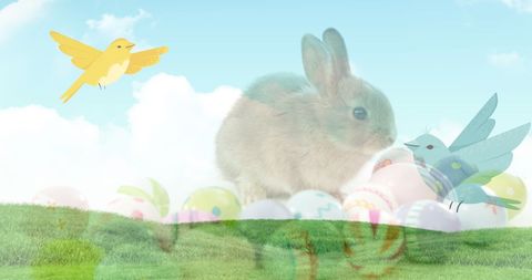 Cute Easter Bunny and Colorful Eggs on Spring Meadow - Download Free Stock Images Pikwizard.com