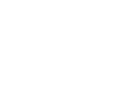 Festive Merry Christmas Text with Evergreen Decor on Transparent Background