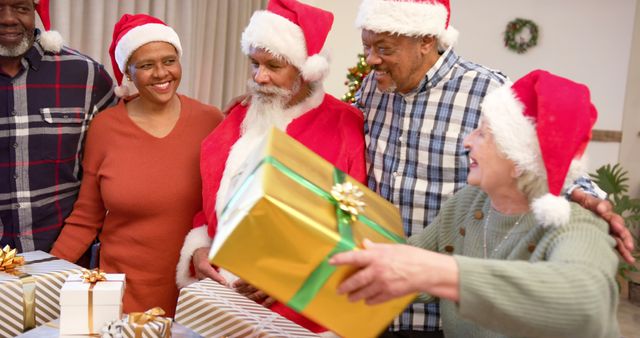 Diverse Group of Seniors Celebrating Christmas and Exchanging Gifts - Download Free Stock Images Pikwizard.com
