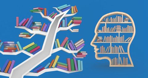 Abstract Bookshelf Art Featuring Human Head and Tree