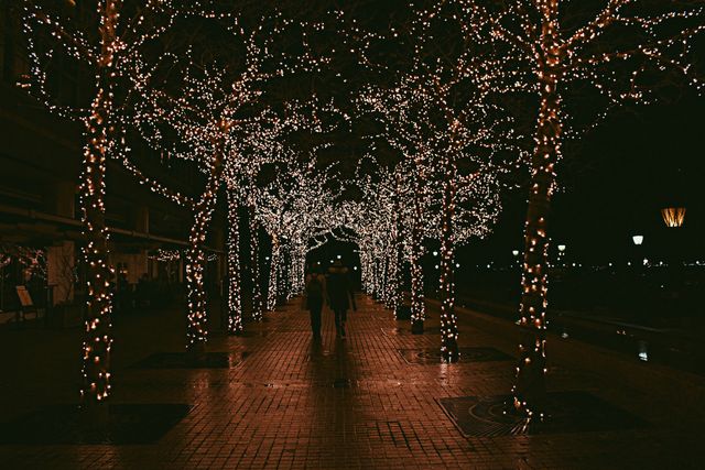 Couple walking hand in hand through a tunnel of trees wrapped in twinkling festive lights at night. Perfect for holiday card designs, seasonal advertising, romantic-themed projects, and cityscape decorations. It captures the warmth of holiday lights and creates a cozy, romantic atmosphere.