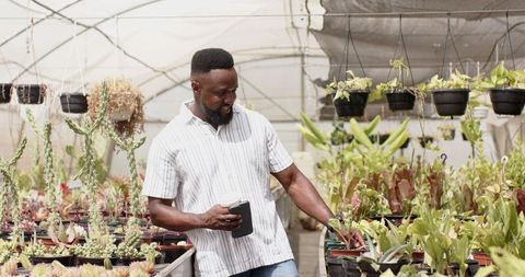 Man exploring plant nursery with succulents and cacti
