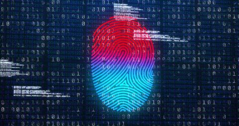 Biometric Fingerprint with Binary Code in Digital Networking Concept - Download Free Stock Images Pikwizard.com