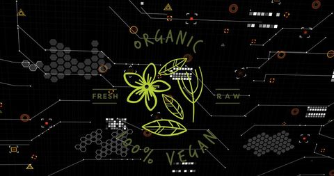 Organic Vegan Symbol with Futuristic Digital Background - Download Free Stock Images Pikwizard.com