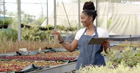 Horticulturist Checking Seedlings with Tablet in Greenhouse