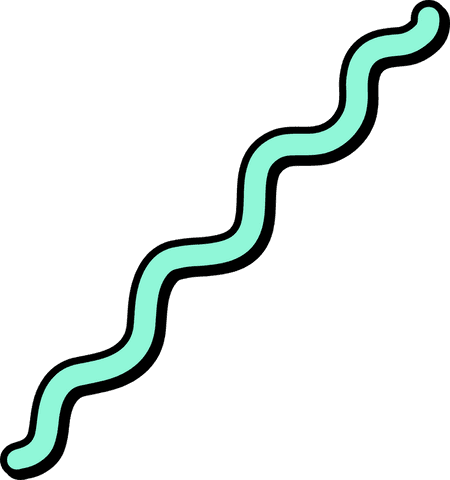 mint green wavy line element on transparent background - Download Free Stock Videos Pikwizard.com