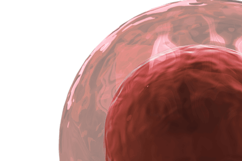 transparent red liquid circle with abstract design - Download Free Stock Videos Pikwizard.com