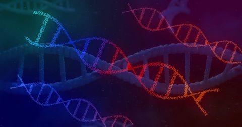colorful dna strands on dark background representing biotechnology - Download Free Stock Images Pikwizard.com