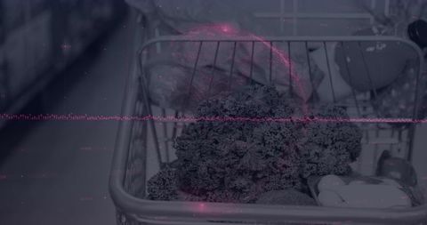 Blockchain Technology Transforming Grocery Retail Operations Worldwide