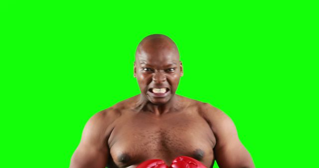 Strong bald man with boxing gloves intense expression green background - Download Free Stock Images Pikwizard.com