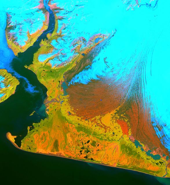 This image from the Advanced Spaceborne Thermal Emission and Reflection Radiometer (ASTER) instrument on NASA's Terra satellite covers an area of 55 by 40 kilometers (34 by 25 miles) over the southwest part of the Malaspina Glacier and Icy Bay in Alaska. The composite of infrared and visible bands results in the snow and ice appearing light blue, dense vegetation is yellow-orange and green, and less vegetated, gravelly areas are in orange. According to Dr. Dennis Trabant (U.S. Geological Survey, Fairbanks, Alaska), the Malaspina Glacier is thinning. Its terminal moraine protects it from contact with the open ocean; without the moraine, or if sea level rises sufficiently to reconnect the glacier with the ocean, the glacier would start calving and retreat significantly. ASTER data are being used to help monitor the size and movement of some 15,000 tidal and piedmont glaciers in Alaska. Evidence derived from ASTER and many other satellite and ground-based measurements suggests that only a few dozen Alaskan glaciers are advancing. The overwhelming majority of them are retreating.  This ASTER image was acquired on June 8, 2001. With its 14 spectral bands from the visible to the thermal infrared wavelength region, and its high spatial resolution of 15 to 90 meters (about 50 to 300 feet), ASTER will image Earth for the next six years to map and monitor the changing surface of our planet.  http://photojournal.jpl.nasa.gov/catalog/PIA03475