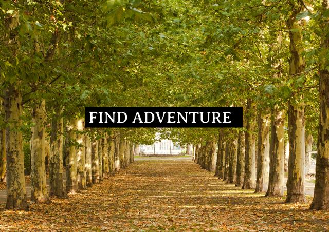 The image features a beautiful tree-lined pathway with a prominent 'Find Adventure' text overlay. The trees are full of green leaves, and the pathway is covered with fallen leaves, suggesting an atmospheric autumn setting. This image is perfect for use in travel blogs, inspirational articles, social media posts, or advertisements related to outdoor activities, exploration, and nature journeys. It conveys a strong sense of adventure, inspiring viewers to step outside and discover new experiences.