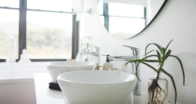 Modern Bathroom Sink with Green Plant and Round Mirror - Download Free Stock Images Pikwizard.com