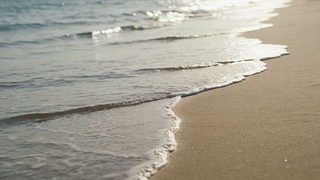 Sunlight glinting on gentle waves lapping wet sand along tranquil beach shoreline
