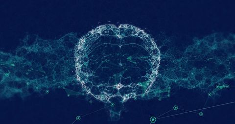 3D Human Brain Illustration with Digital Network Connections - Download Free Stock Images Pikwizard.com
