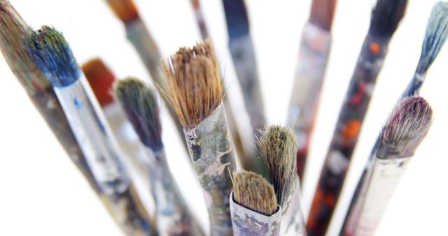 Close-Up of Assorted Used Paintbrushes with Various Bristle Types - Download Free Stock Images Pikwizard.com