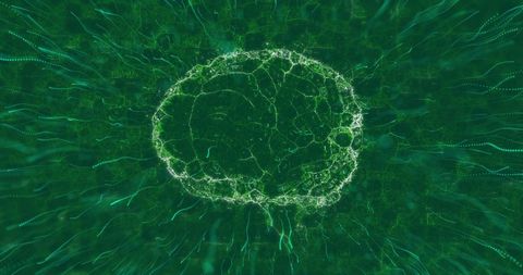 Abstract Glowing Brain with Digital Interface Concept - Download Free Stock Images Pikwizard.com