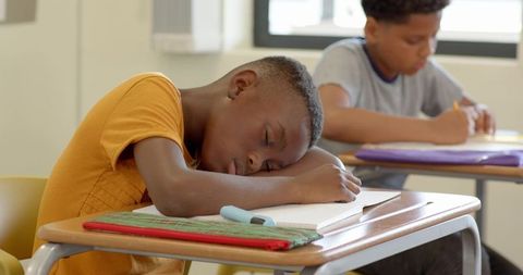Tired Schoolboy Dozing at Desk during Class