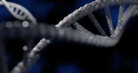 Close-up of DNA Strand against Dark Background - Download Free Stock Images Pikwizard.com