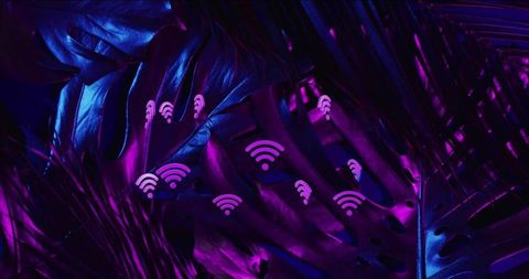 Neon monstera leaves with wi-fi icons in magenta indigo cyber tropical background visual