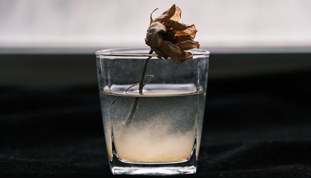 Dried rose leaning over glass of murky water with sediment on black velvet