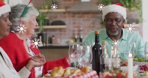 Diverse Group of Seniors Celebrating Christmas Meal Together