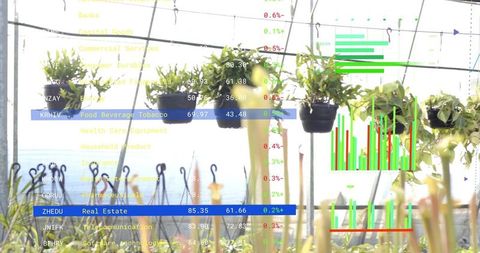 Greenhouse Hanging Plants Overlaid with Financial Charts for Sustainable Investing Concept